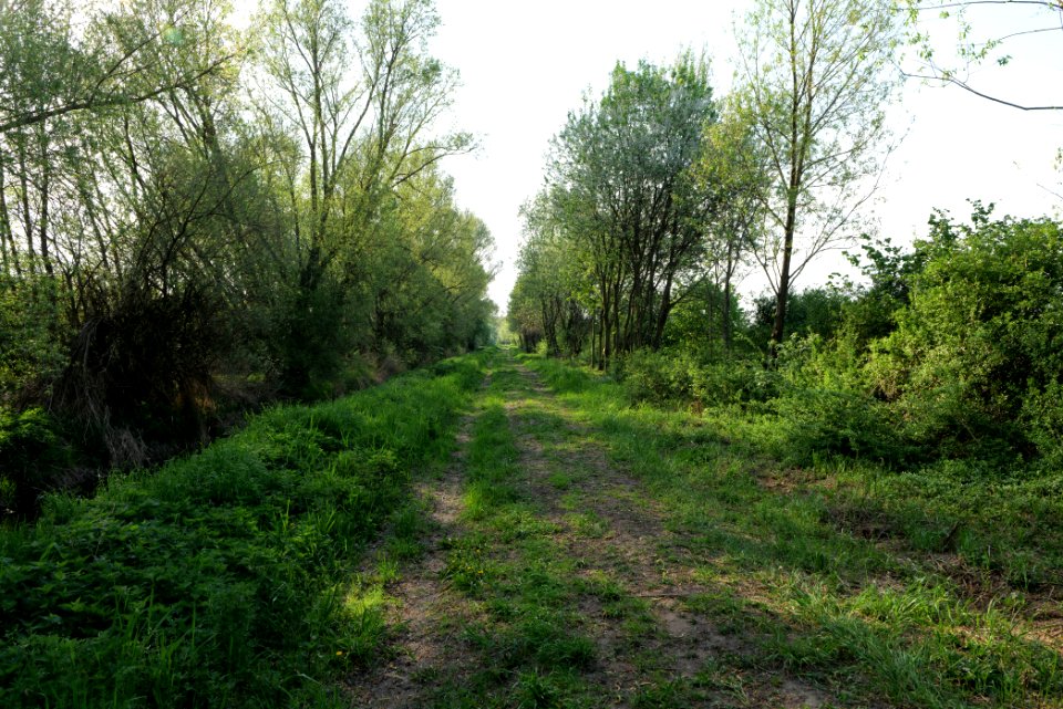 Track in Kiekebusch 2021-05-11 04