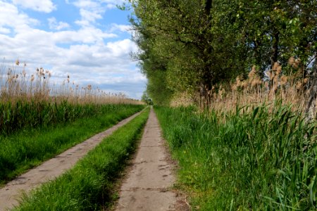 Track in Nauen 2020-05-15 06
