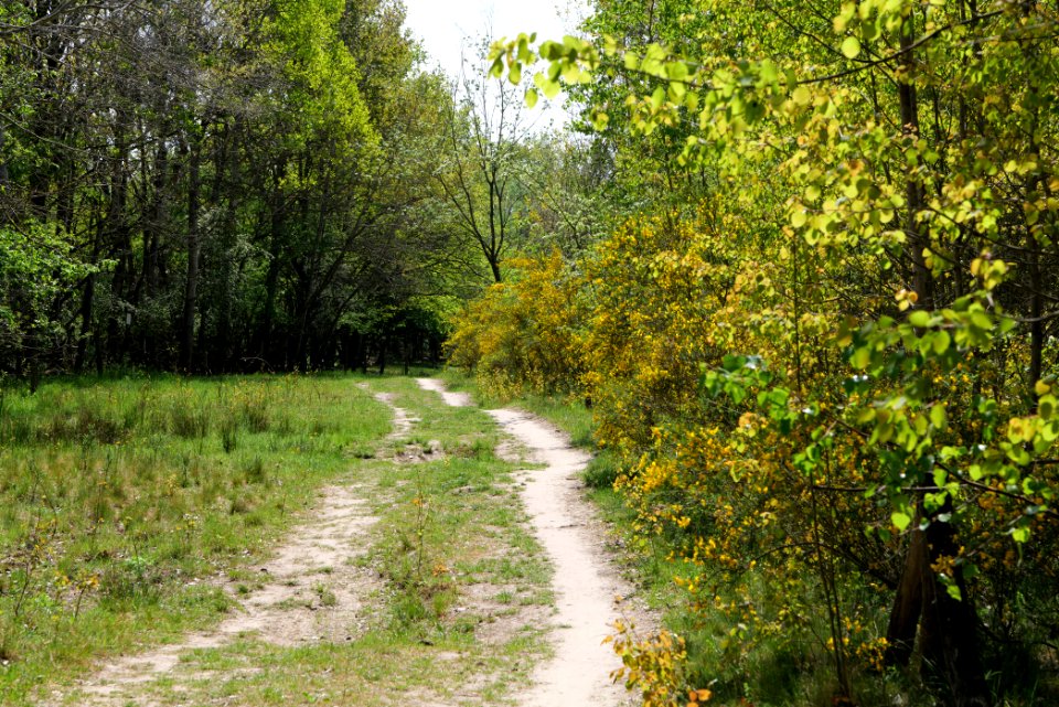 Track in Döberitzer Heide 2020-05-08 23