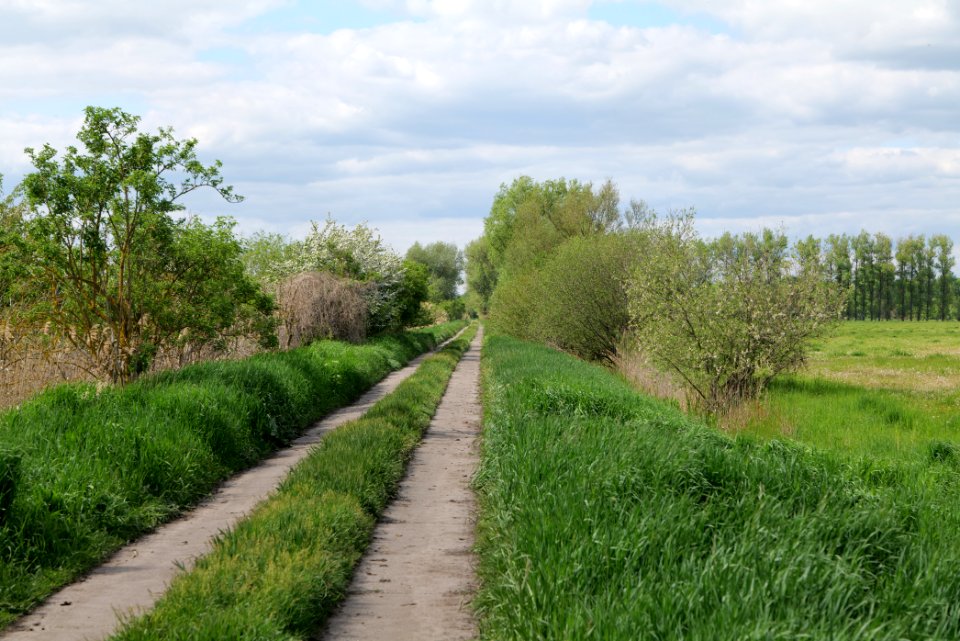 Track in Nauen 2020-05-15 04
