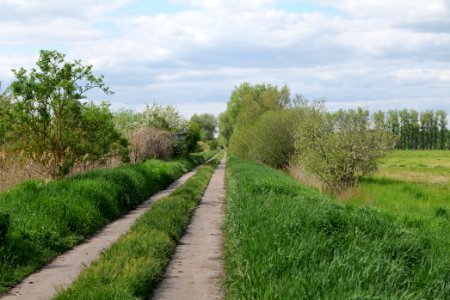 Track in Nauen 2020-05-15 04