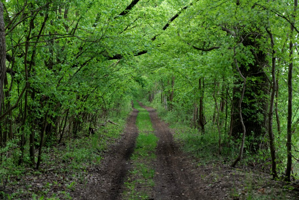 Track in Fehrbellin 2020-05-15 05