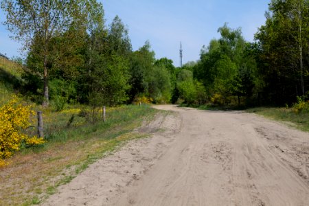 Track in Döberitzer Heide 2020-05-08 22