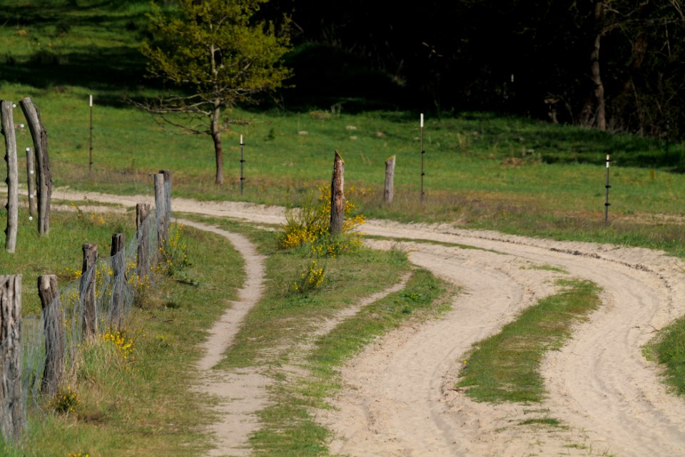 Track in Döberitzer Heide Ferbitzer Bruch 2020-05-08 25