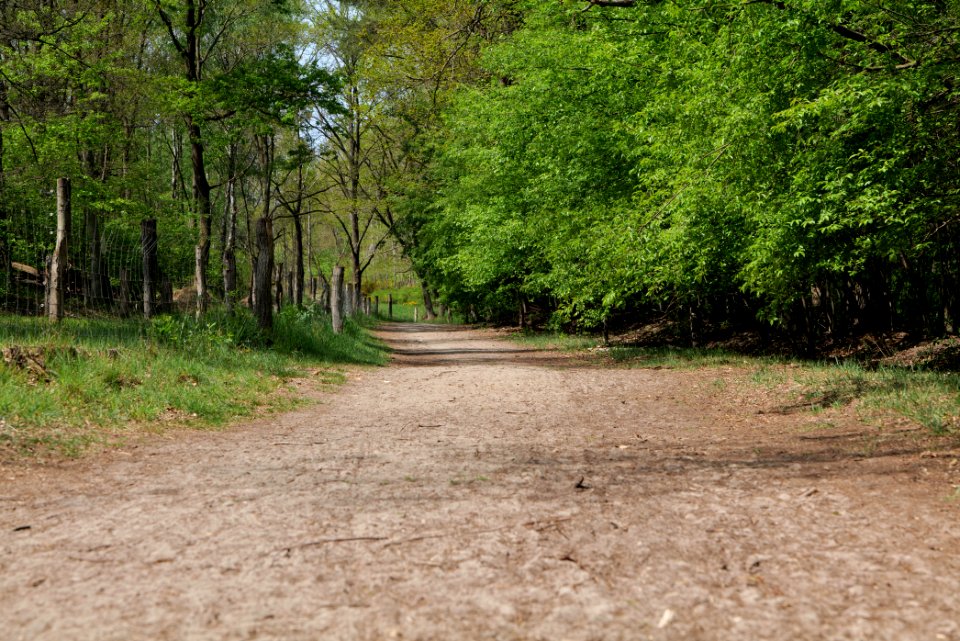Track in Döberitzer Heide 2020-05-08 12
