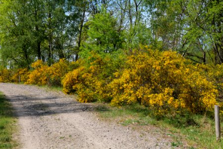 Track in Döberitzer Heide 2020-05-08 29