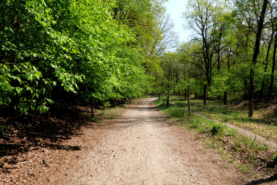Track in Döberitzer Heide 2020-05-08 14