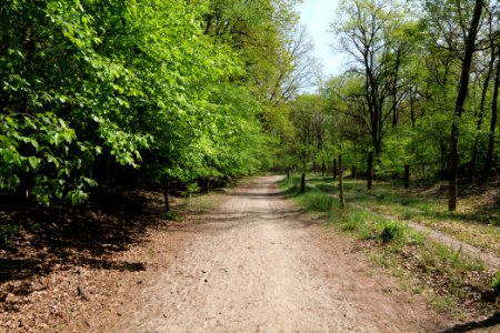Track in Döberitzer Heide 2020-05-08 14