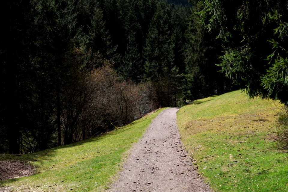 Trail along Sankenbach 2020-03-12 08