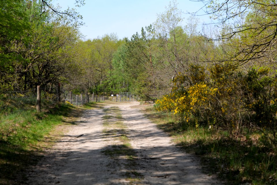 Track in Döberitzer Heide 2020-05-08 104