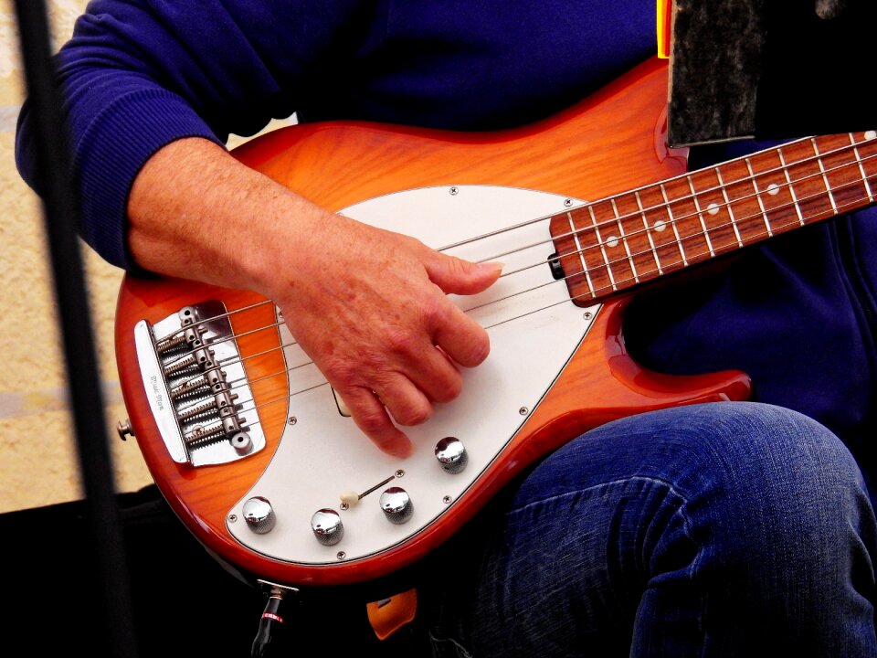 Musician musical instrument entertainment