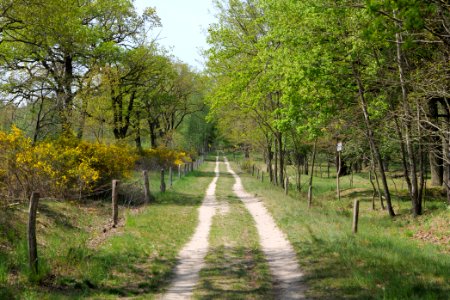 Track in Döberitzer Heide 2020-05-08 19