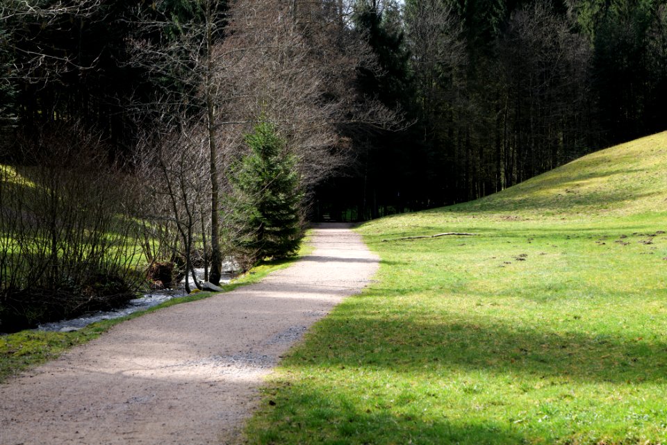 Trail along Sankenbach 2020-03-12 05