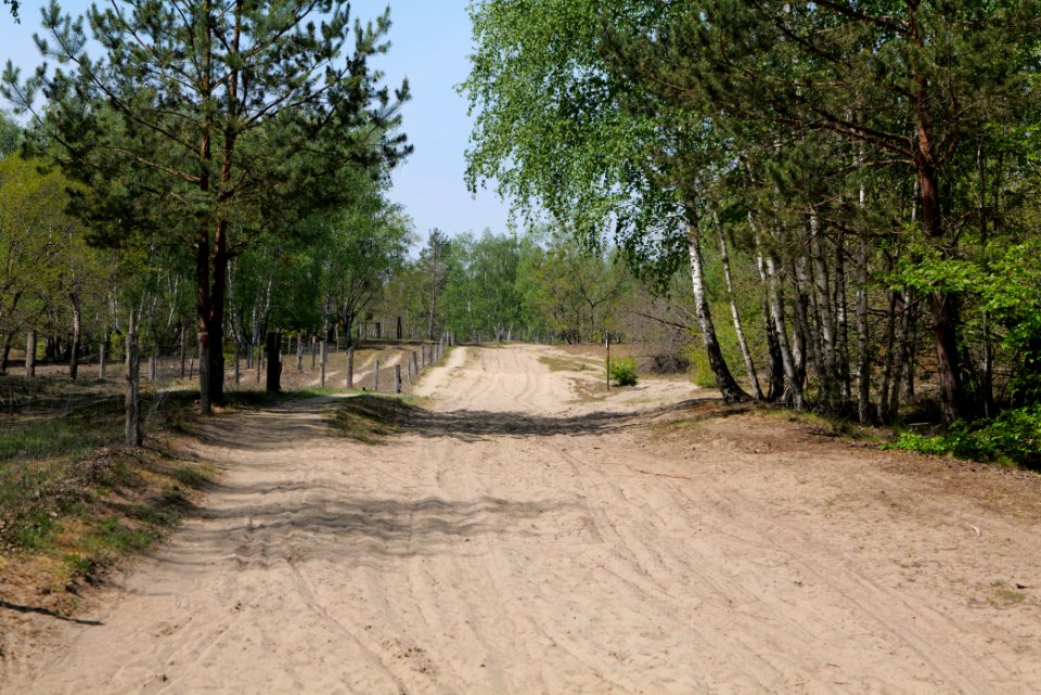 Track in Döberitzer Heide 2020-05-08 107