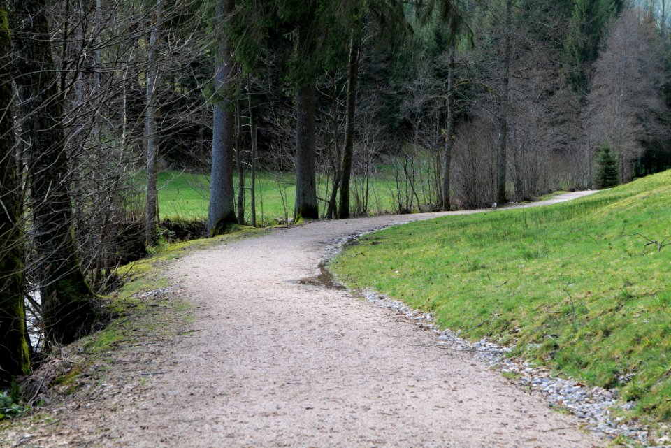 Trail along Sankenbach 2020-03-12 04