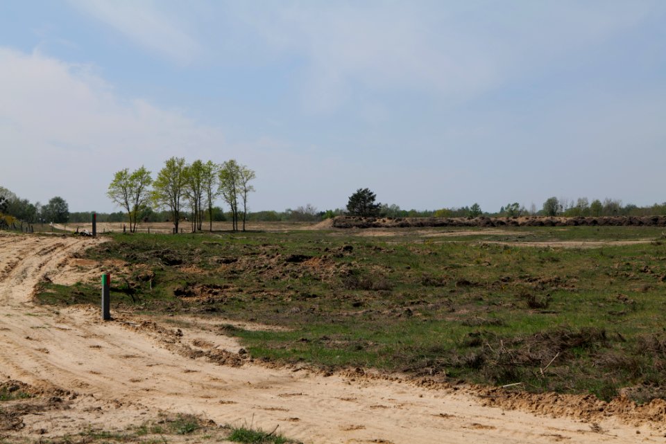 Track in Döberitzer Heide 2020-05-08 38