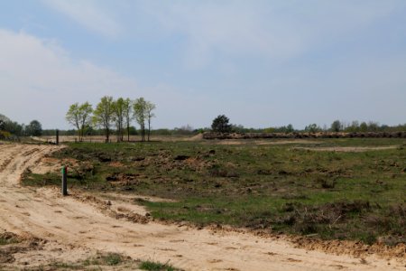 Track in Döberitzer Heide 2020-05-08 38