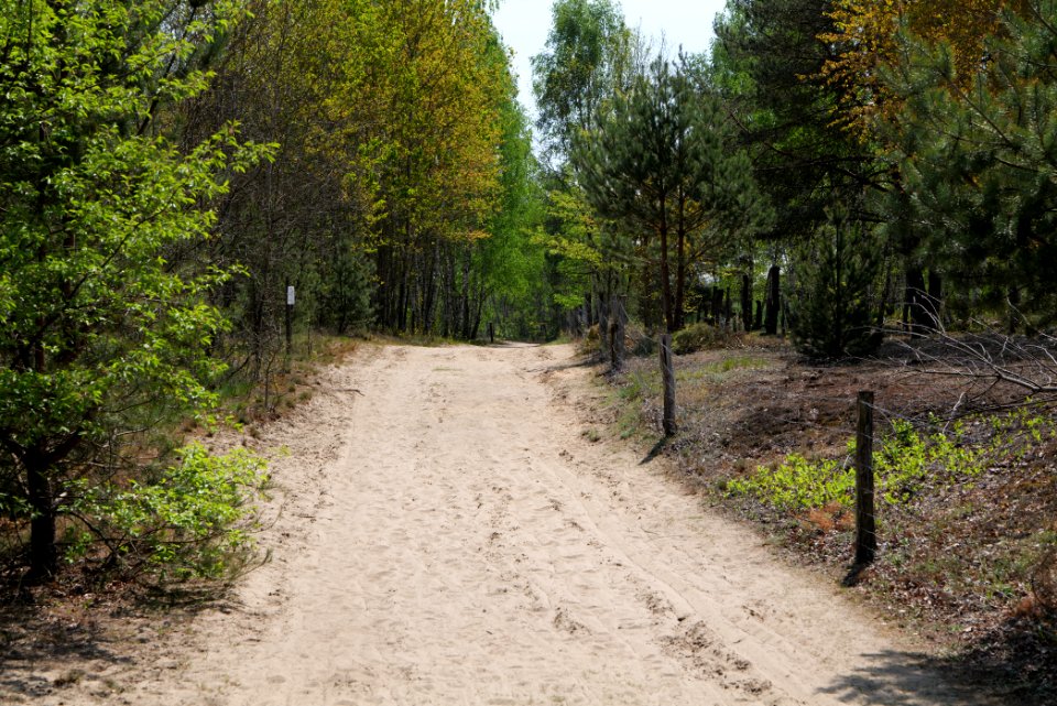 Track in Döberitzer Heide 2020-05-08 110
