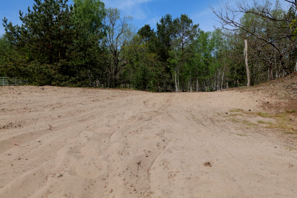 Track in Döberitzer Heide 2020-05-08 105