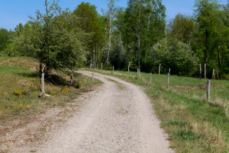 Track in Döberitzer Heide 2020-05-08 35