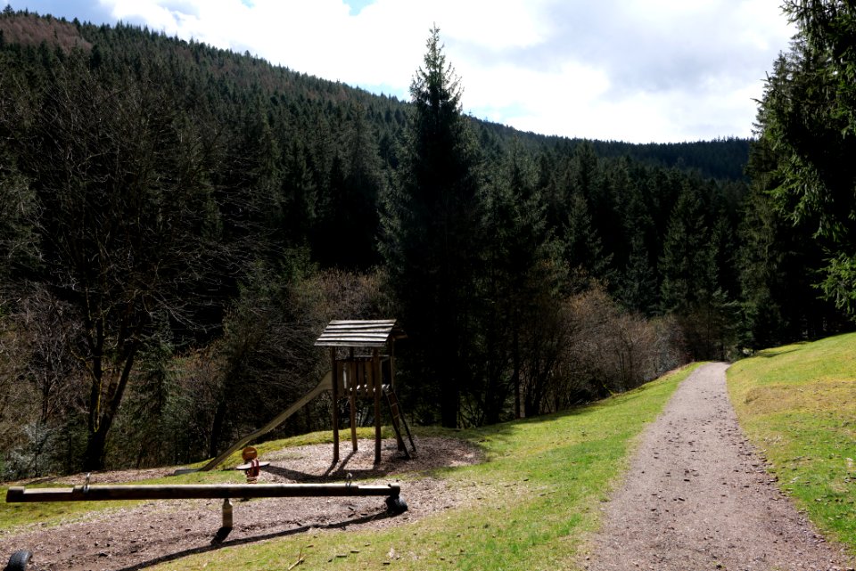 Trail along Sankenbach 2020-03-12 09