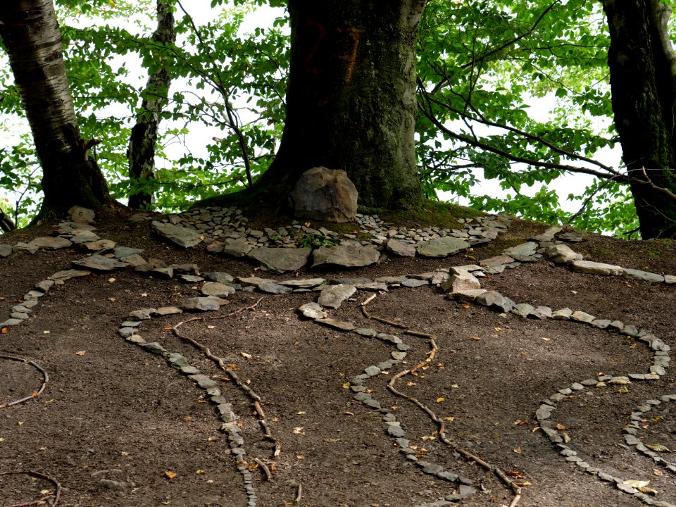 Trail along Rurtalsperre in Simmerath 02