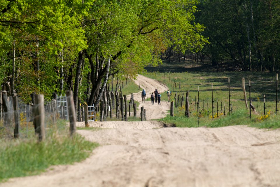 Track in Döberitzer Heide Ferbitzer Bruch 2020-05-08 17