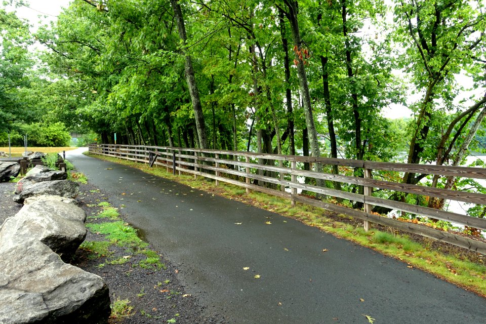 Trail - Windsor Locks Canal State Park Trail - Suffield, Connecticut - DSC04310