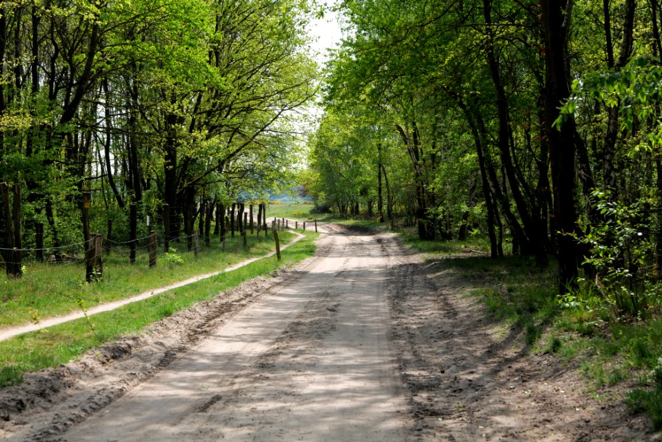 Track in Döberitzer Heide Ferbitzer Bruch 2020-05-08 08