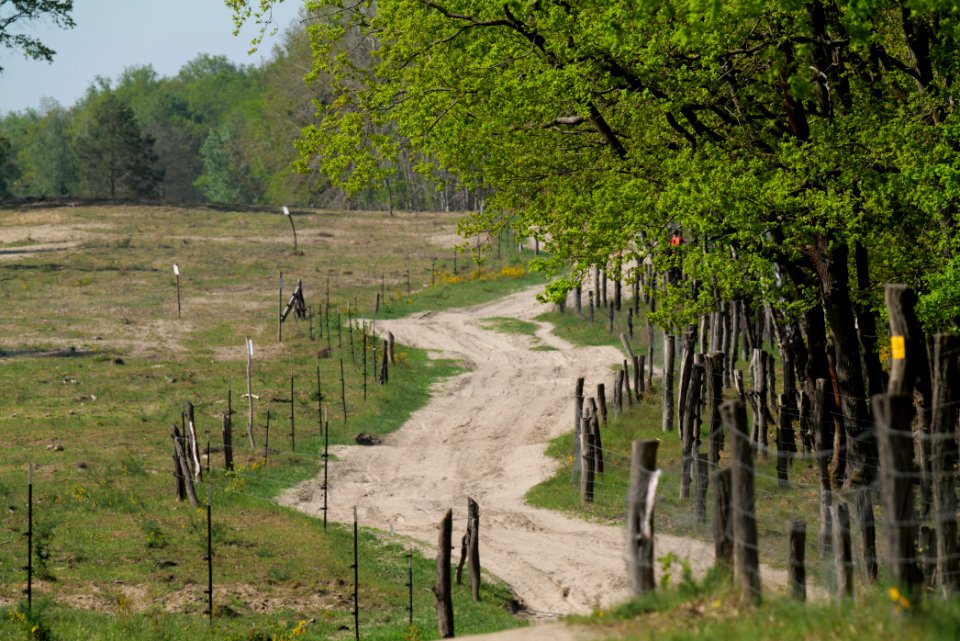 Track in Döberitzer Heide Ferbitzer Bruch 2020-05-08 21