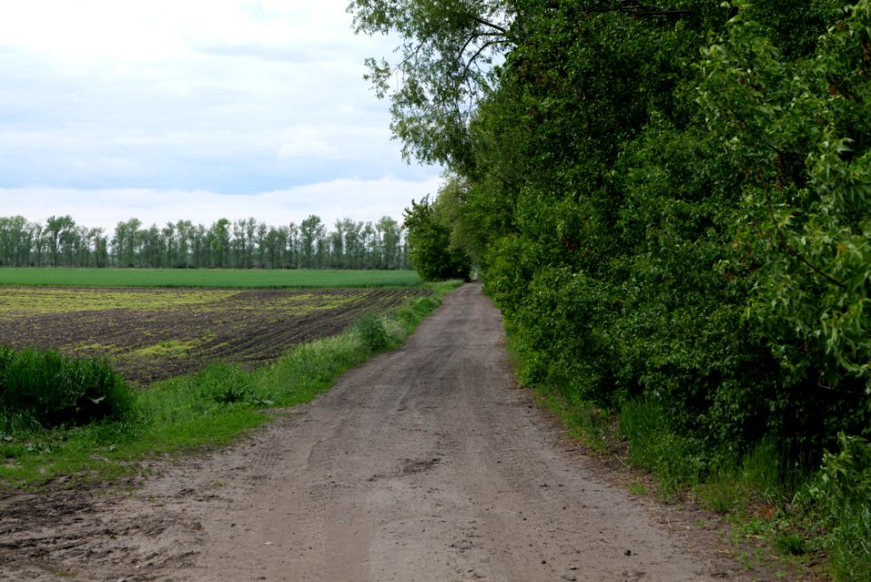 Track in Nauen 2020-05-15 14