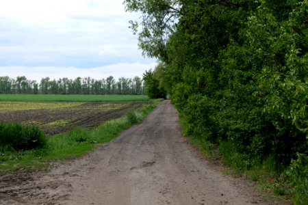 Track in Nauen 2020-05-15 14