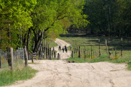 Track in Döberitzer Heide Ferbitzer Bruch 2020-05-08 16