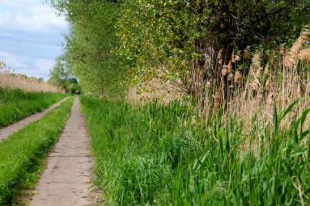 Track in Nauen 2020-05-15 07