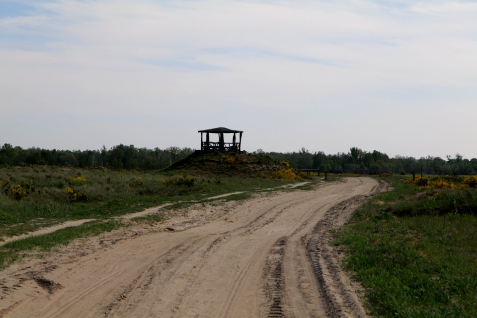 Track in Döberitzer Heide Ferbitzer Bruch 2020-05-08 09