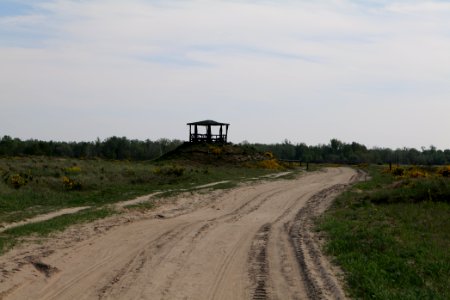 Track in Döberitzer Heide Ferbitzer Bruch 2020-05-08 09