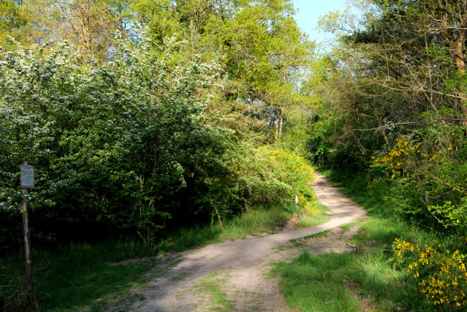 Track in Döberitzer Heide 2020-05-08 83