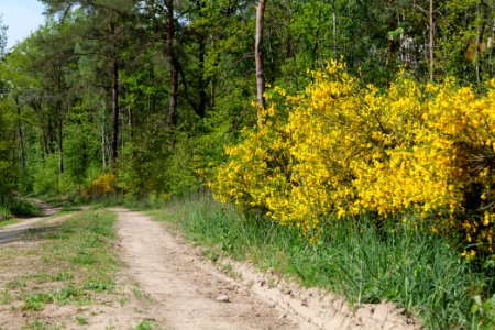 Track in Döberitzer Heide 2020-05-08 89