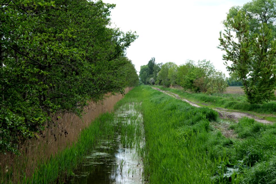 Track in Nauen 2020-05-15 13