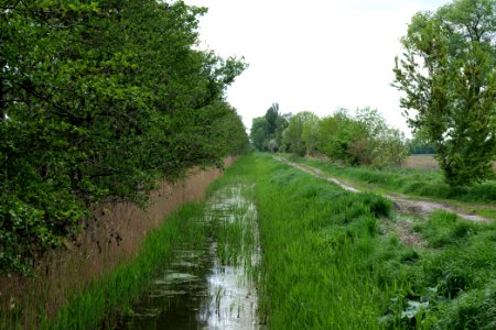 Track in Nauen 2020-05-15 13