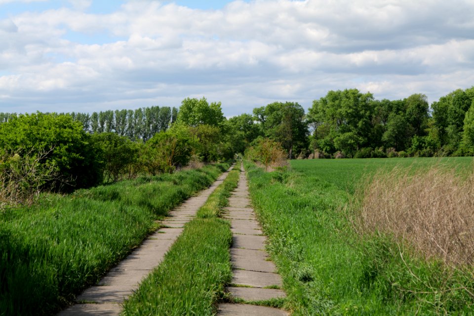 Track in Nauen 2020-05-15 02