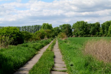 Track in Nauen 2020-05-15 02