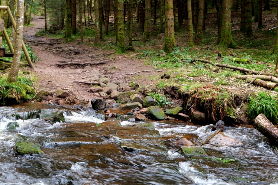 Trail along Sankenbach 2020-03-12 13