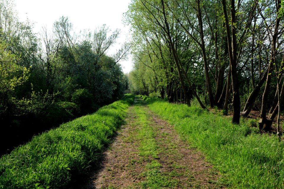 Track in Kiekebusch 2021-05-11 10