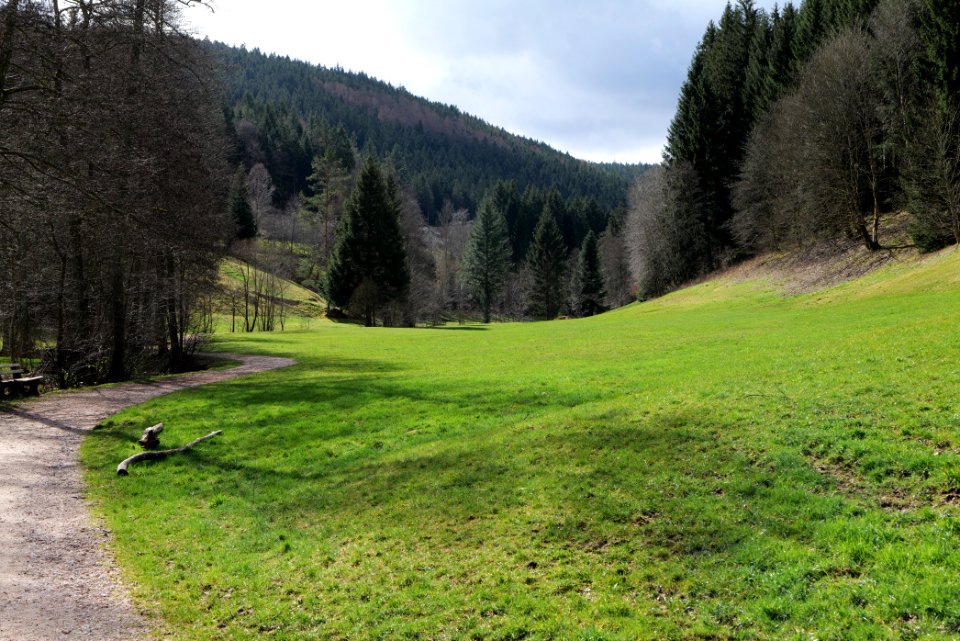 Trail along Sankenbach 2020-03-12 02