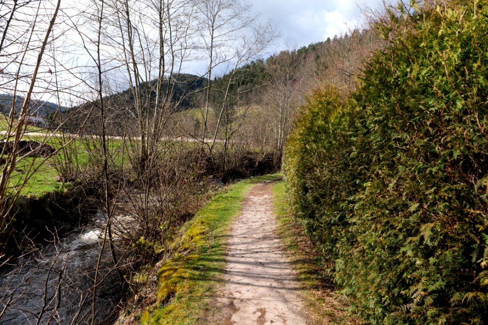 Trail along Sankenbach 2020-03-12 01