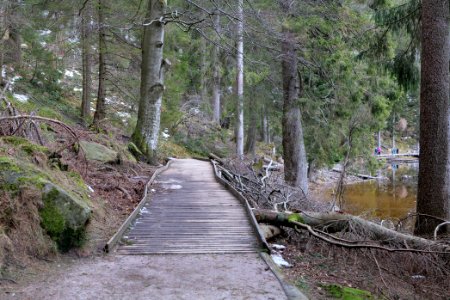 Trail around Mummelsee 2020-03-14 02 photo