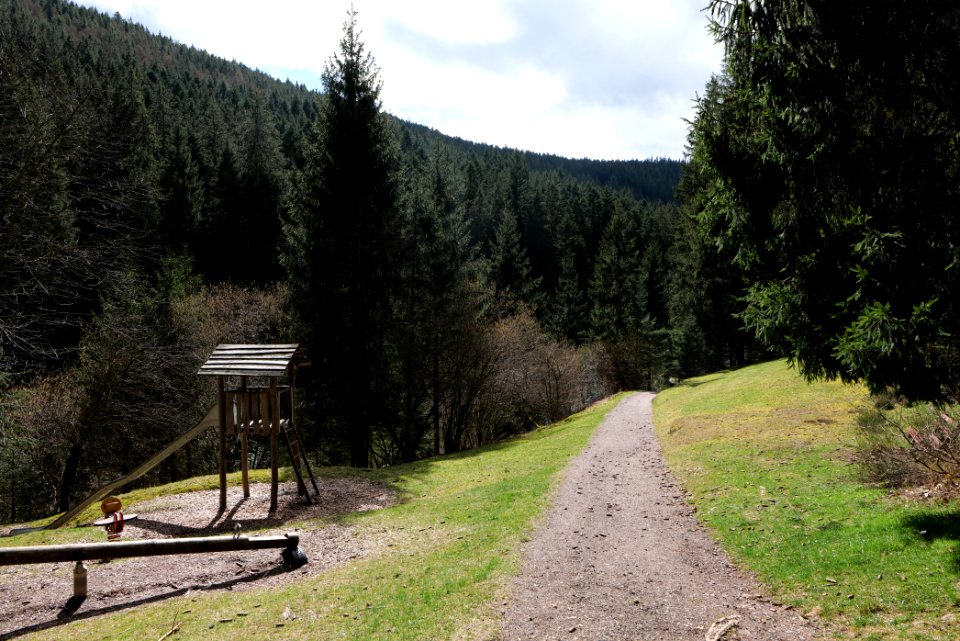 Trail along Sankenbach 2020-03-12 07