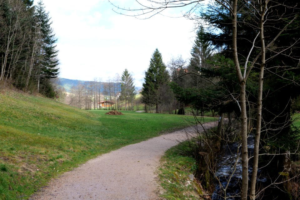 Trail along Sankenbach 2020-03-12 03