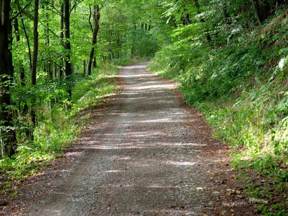 Trail along Rurtalsperre in Simmerath 08